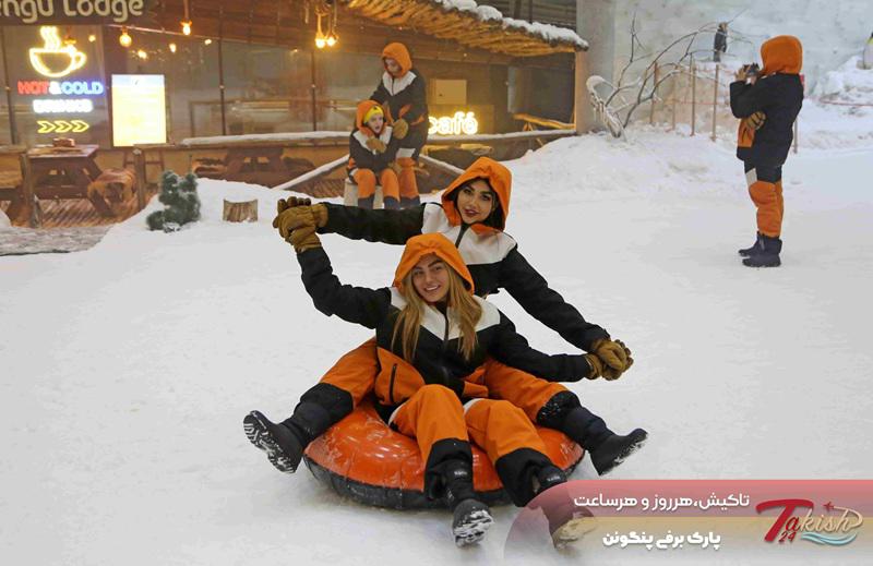 پارک برفی پنگوئن